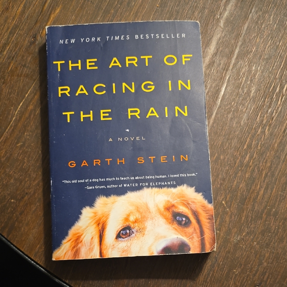 Novel 'The Art of Racing in the Rain'
